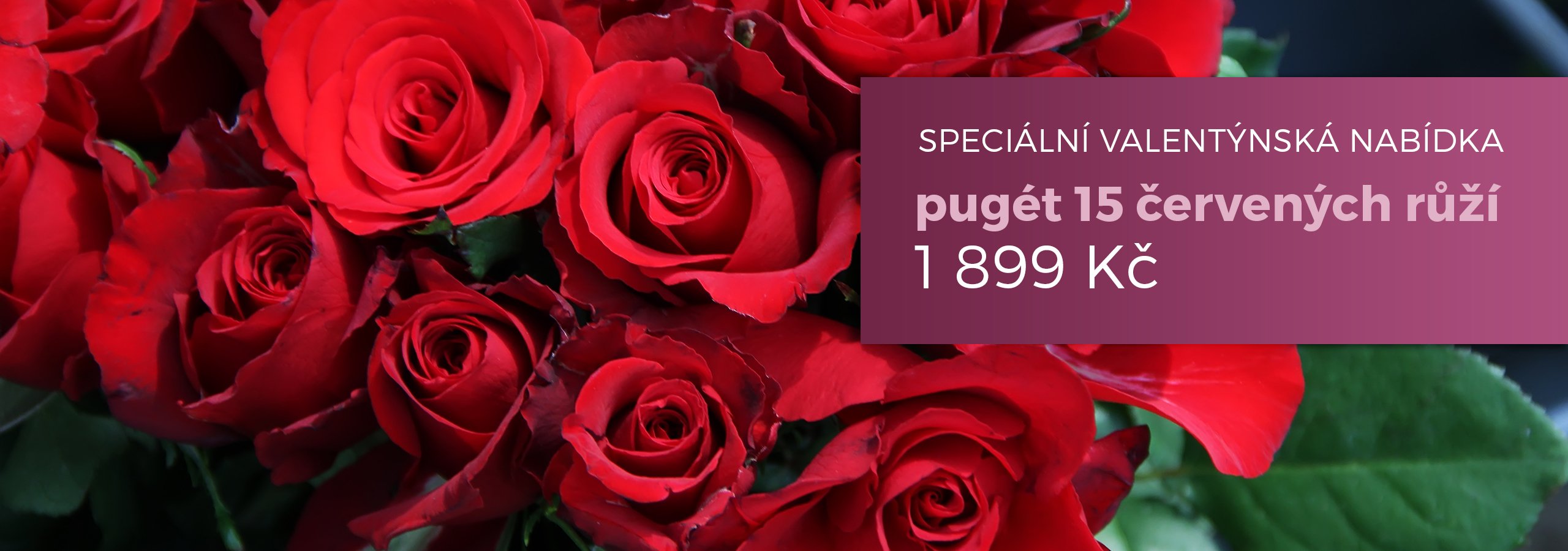 Květiny Claudie | Akční růže