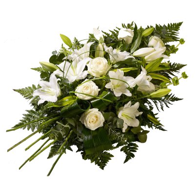 Grün & Weiß Sympathie