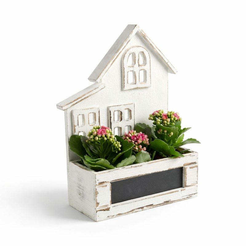 Jarní domeček s kalanchoemi