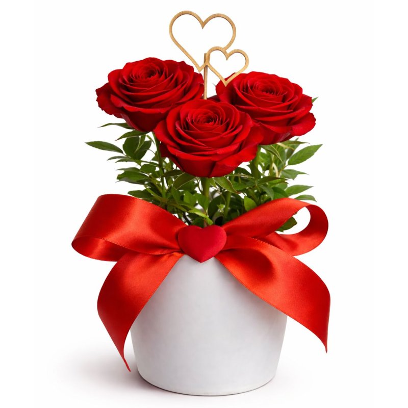 Rosen in Keramikvase