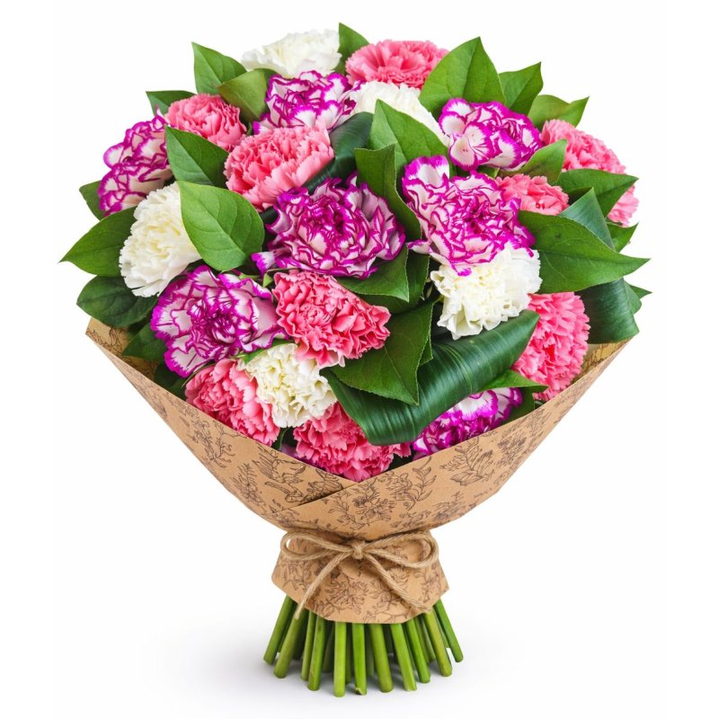 Carnations in full glory