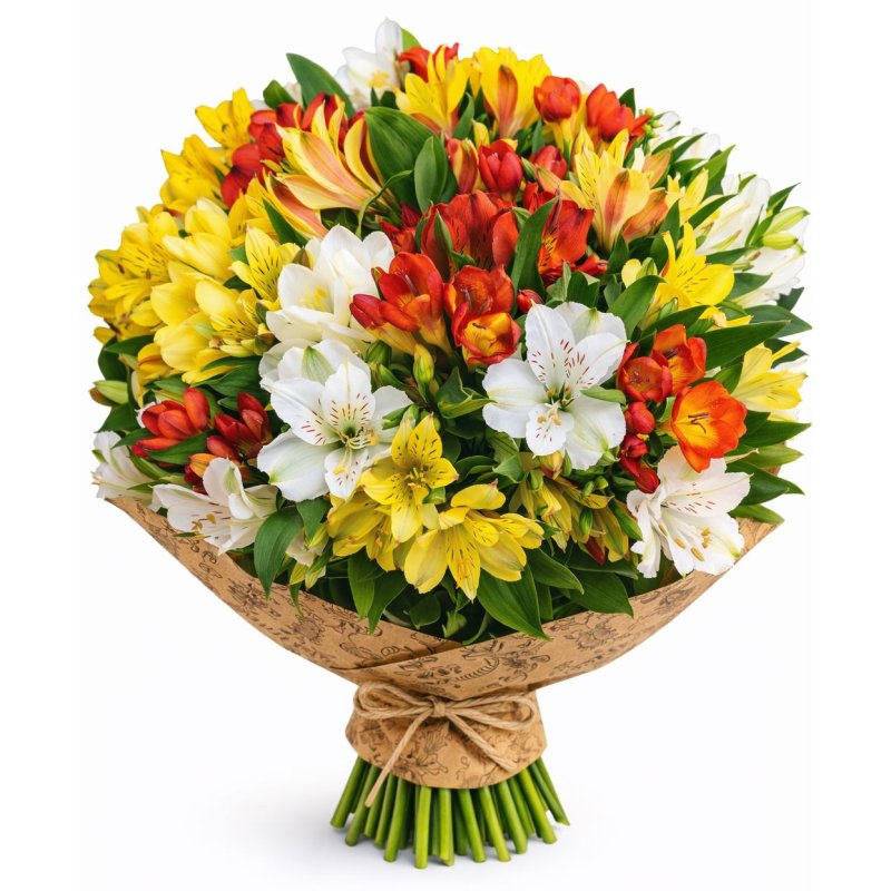 Barevné Alstromerie